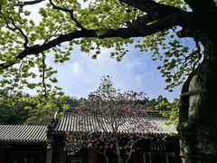 -潭柘寺景区