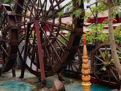-品德宏·孔雀宴的发源地(金塔园店)
