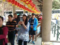 -九龙江国家森林公园