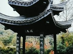 -镇江市南山风景名胜区竹林景区