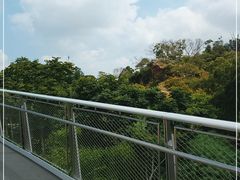 -仙岳公园