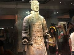 -秦始皇兵马俑博物馆-停车场