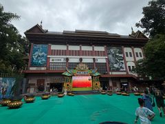 -西双版纳原始森林公园