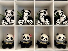 -维也纳国际酒店·成都龙泉汽车城航空学院店