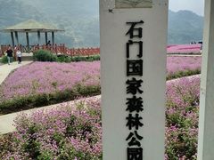 -广州市石门国家森林公园