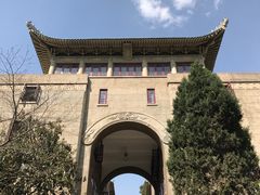 -武汉大学-樱园