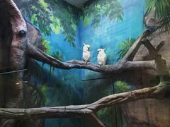 -福州罗源湾海洋世界旅游区