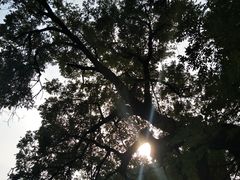 -洛阳周公庙博物馆