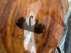 -BLACKSWAN黑天鹅(环球店)