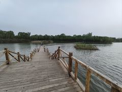 -香山公园
