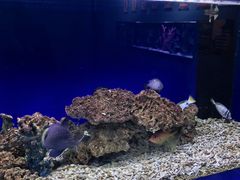 -沙沙哗啦海洋馆(华宇百花谷店)