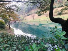 -桃花岭景区