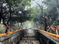 -妙峰山风景名胜区