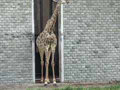 -石家庄市动物园