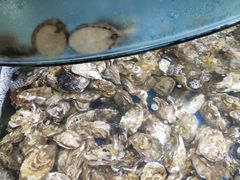 -蓝珊甄选海鲜自助·火锅大排档(近阿那亚店)