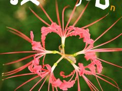 -白塘生态植物园