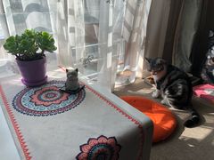 -香老铺松荣堂(产宁坂店)