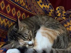 -1984魔法桌游(观音桥店)