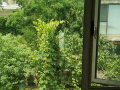 -慢丽江·云南野生菌土鸡锅(付家庄店)