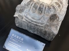 -西安大唐西市博物馆