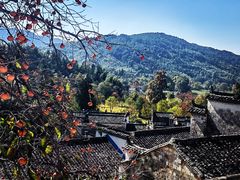 -塔川景区