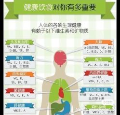 -香薇妮丝女子减肥院