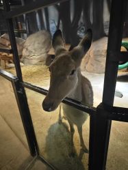 -酷嗒动物文化乐园(cutezoo西溪乐天城店)