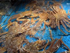 -徐记海鲜·家宴(南油永新汇店)