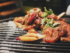 牛肉-燚店·铁板鱼蛙·烤肉·烤串(北新桥店)