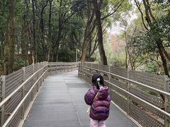 -福道