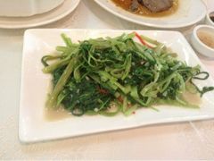 空心菜-金成潮菜博物馆(海珠湿地店)