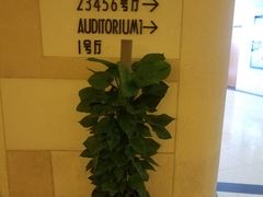 -大光明电影院(南京西路店)