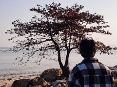 -情侣路