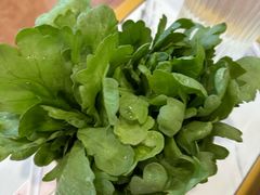 -潮汕美牛肉丸火锅店(天宁寺店)
