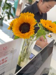 点击看大图 -Dr.林醫生产后修复·配方产康店(南京大厂店)