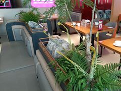 -老板恋上鱼(恒隆广场店)