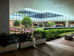 -香港大学