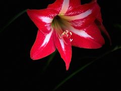 -神仙馆(衡山路店)