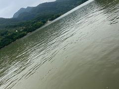-后柳水乡