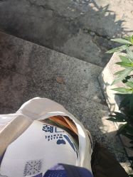 -蓝调造型·烫发·染发