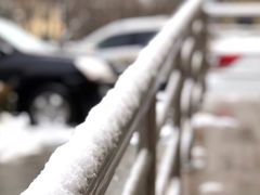 -河北中医学院(橘泉校区)