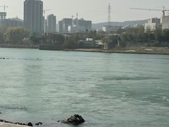 -丹水桥地锅鱼·翘嘴鲌·地方特色全鱼宴(丹江口大坝店)