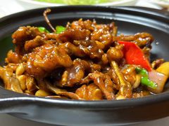 -三猫黑鱼花(南大店)