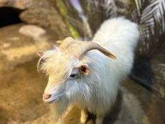 -苏州海洋馆