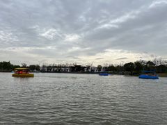 -上海长兴岛郊野公园