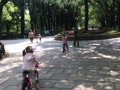 -共青国家森林公园-售票处