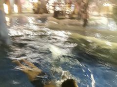 -中铁花水湾温泉酒店(大邑店)