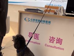 -北京观赏动物医院·24小时大型综合·猫专科·异宠专科