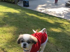 -兆祥公园