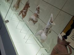 -日照市博物馆